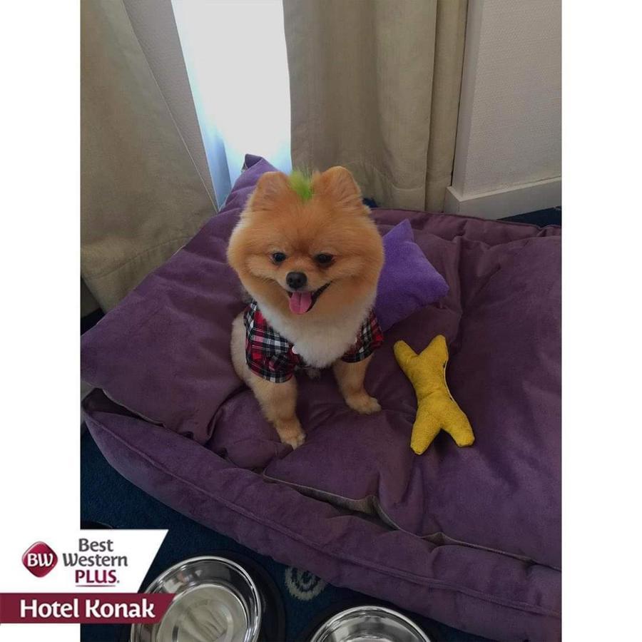 ベスト ウエスタン プラス ホテル コナック イズミル エクステリア 写真