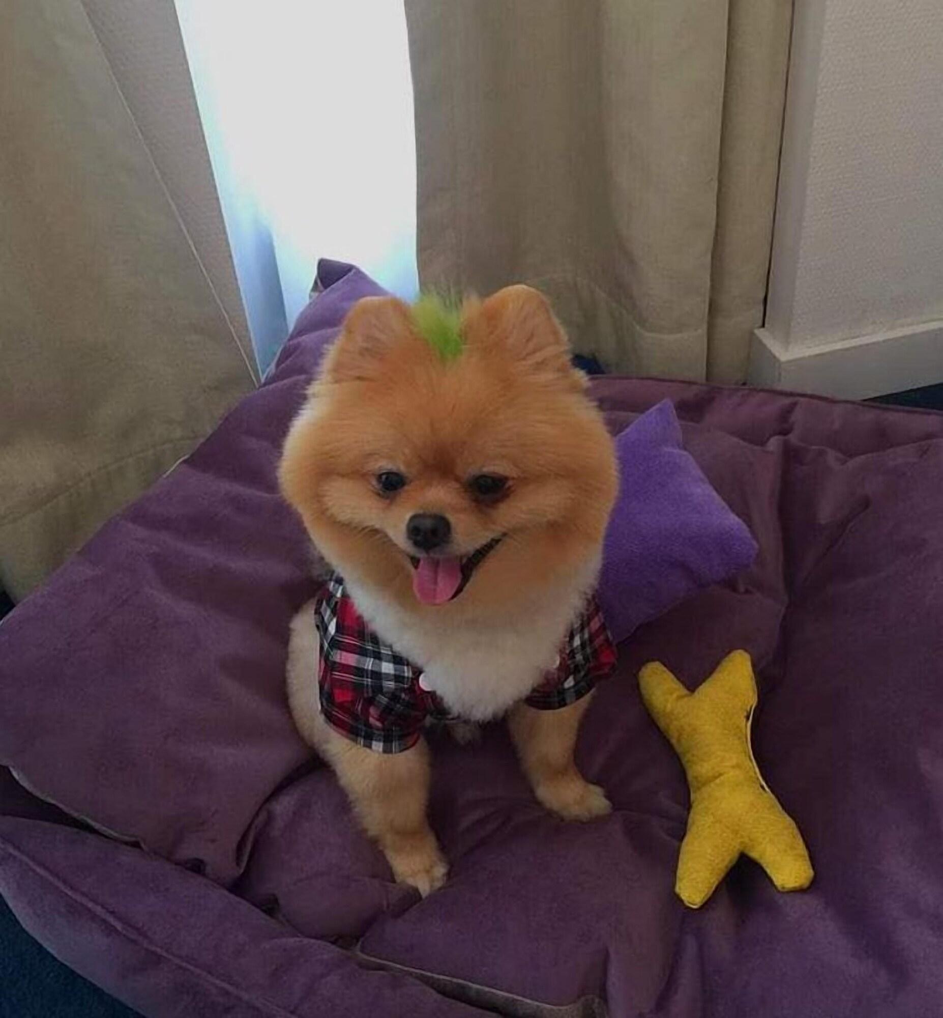 ベスト ウエスタン プラス ホテル コナック イズミル エクステリア 写真